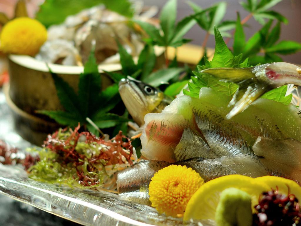 Hitoyoshi Ryokan Екстер'єр фото